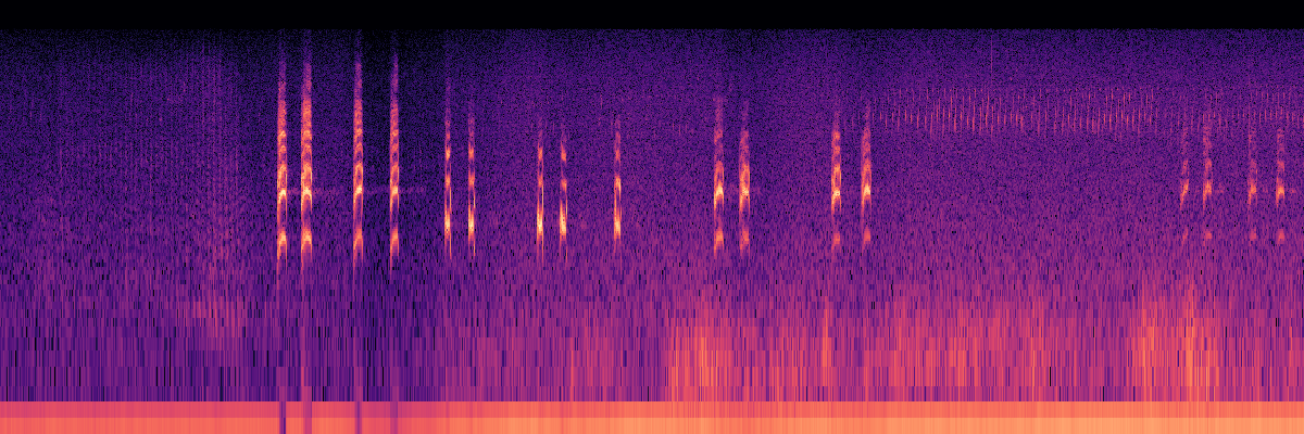 Spectrogram: Common Raven Flight Calls With Reverberance, Preceded by Wingbeats